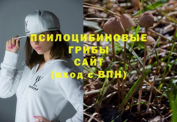 СК Абаза